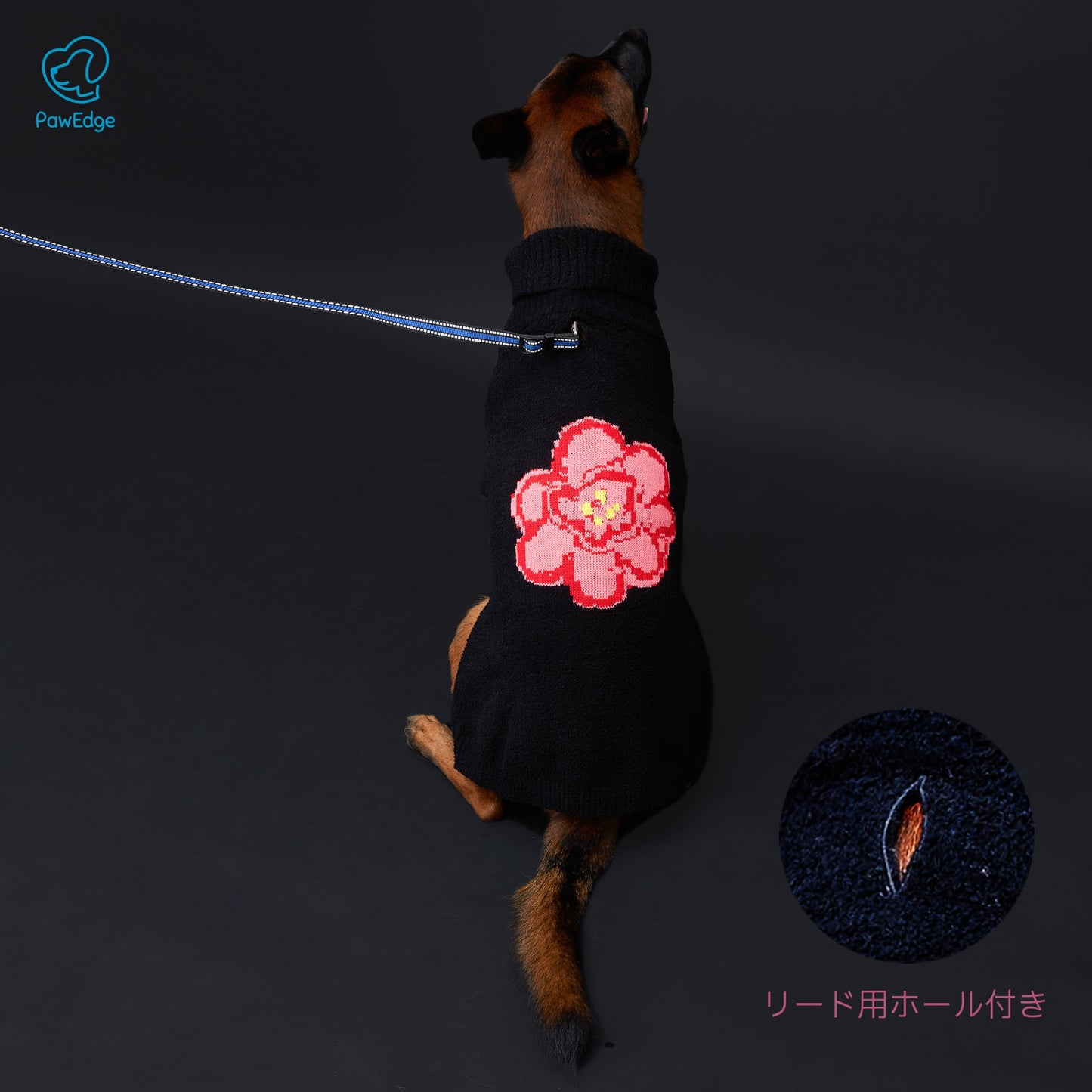 Luxury High-Neck Dog Sweater with Bold Intarsia Flower and Convenient Leash Hole