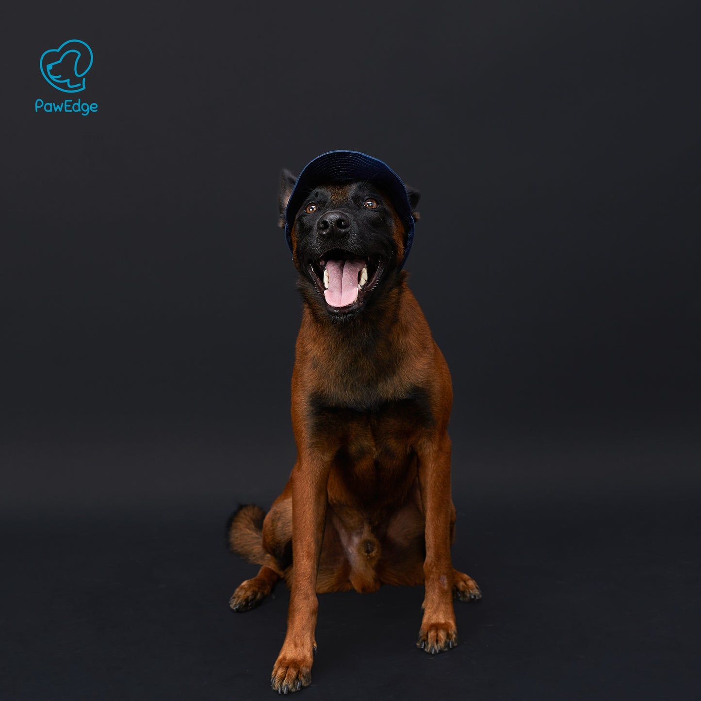 Dog Cap with Embroidered Logo - Adjustable Fit, 4 Color Choices