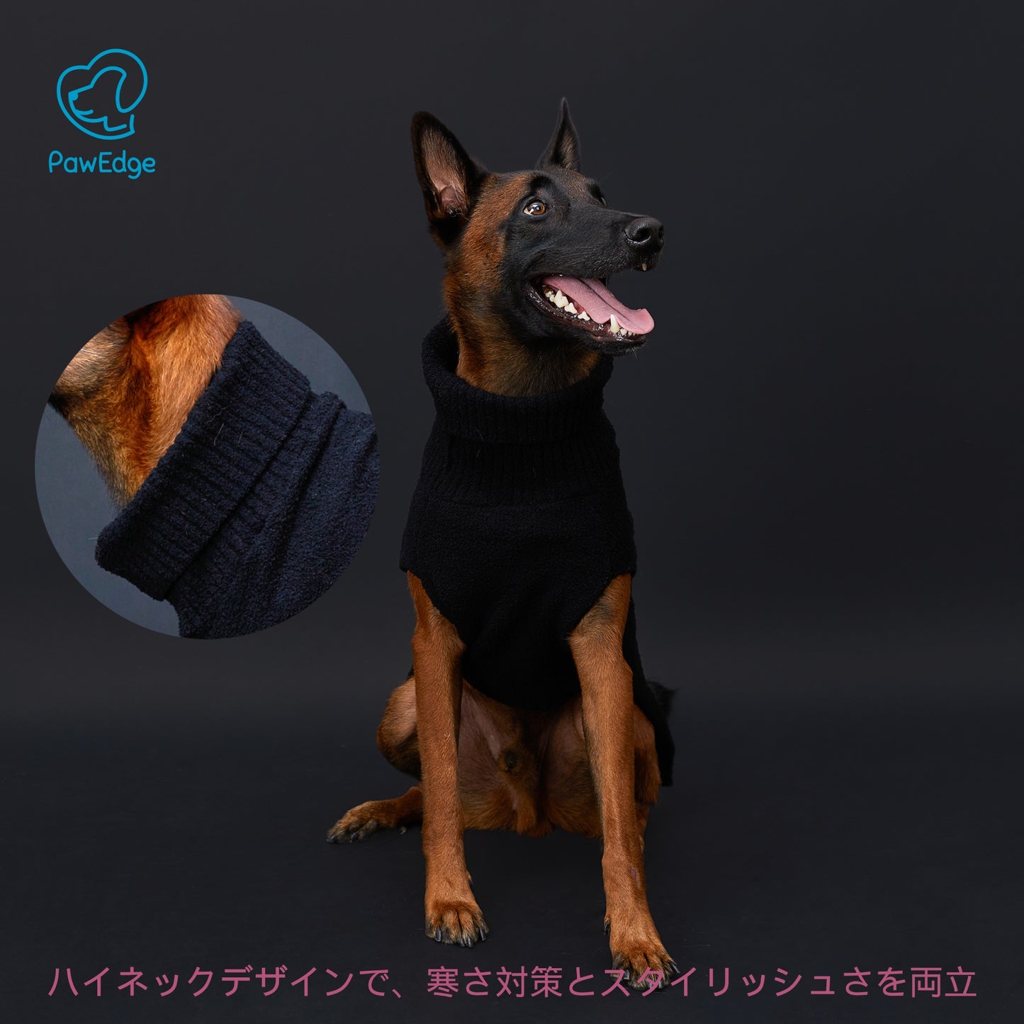 Luxury High-Neck Dog Sweater with Bold Intarsia Flower and Convenient Leash Hole