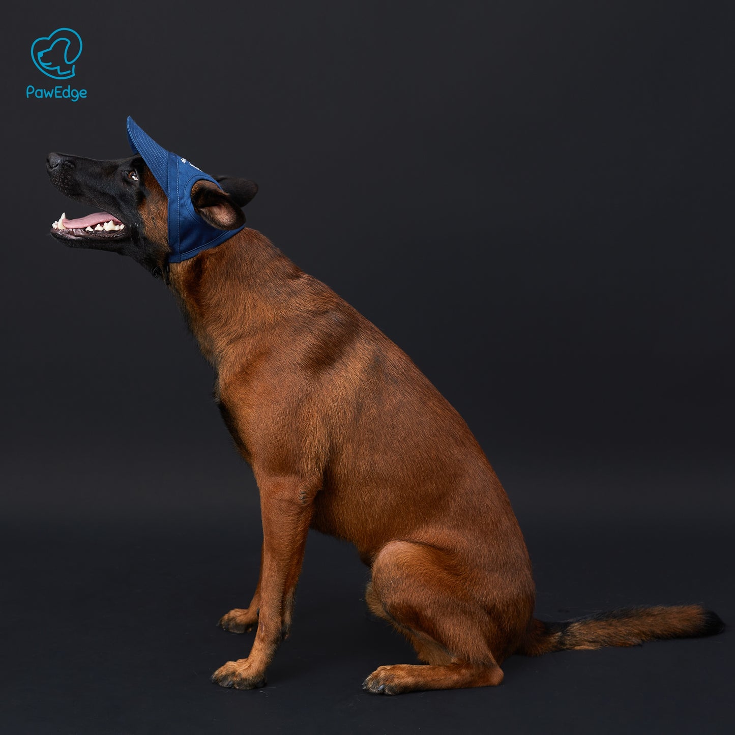 Dog Cap with Embroidered Logo - Adjustable Fit, 4 Color Choices