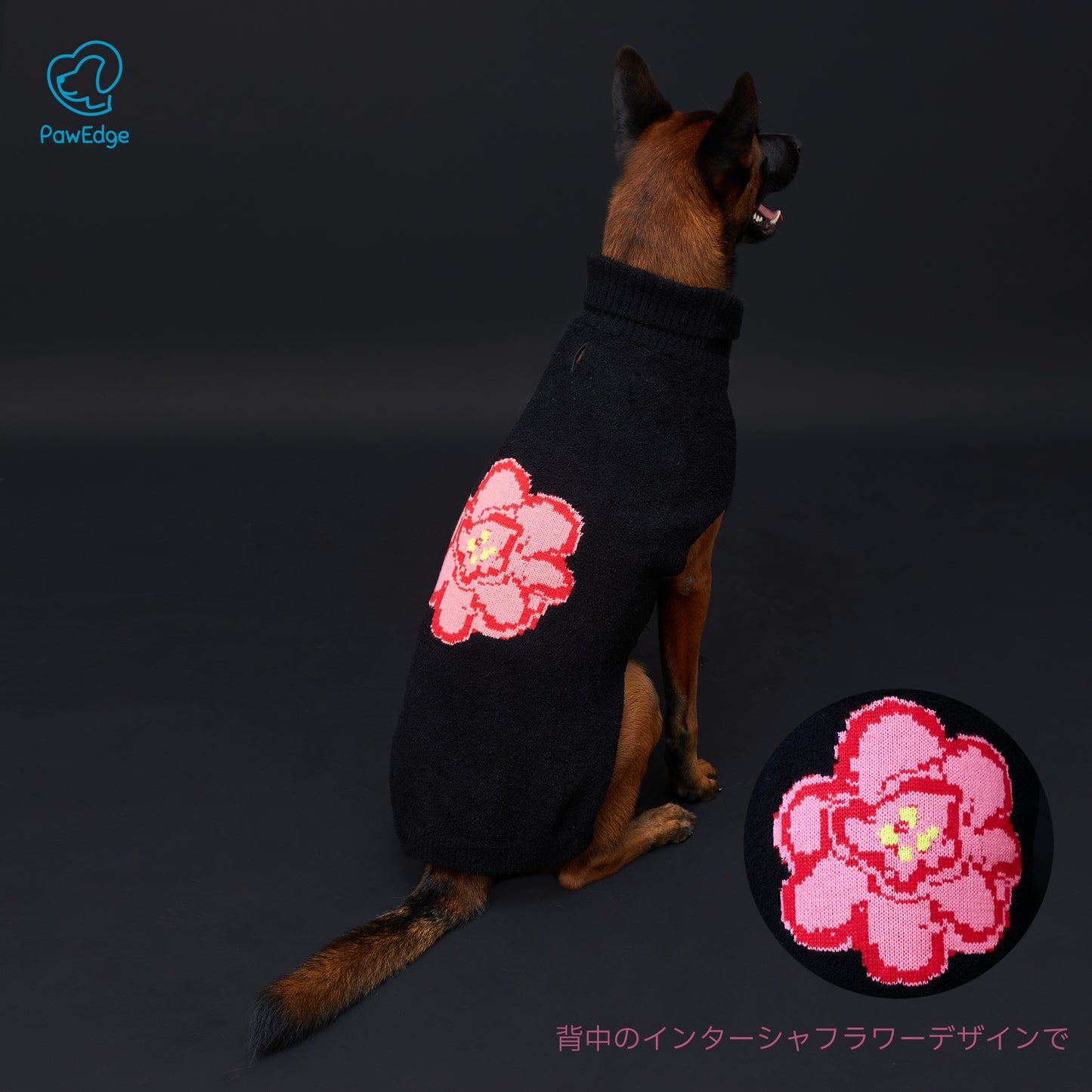 Luxury High-Neck Dog Sweater with Bold Intarsia Flower and Convenient Leash Hole