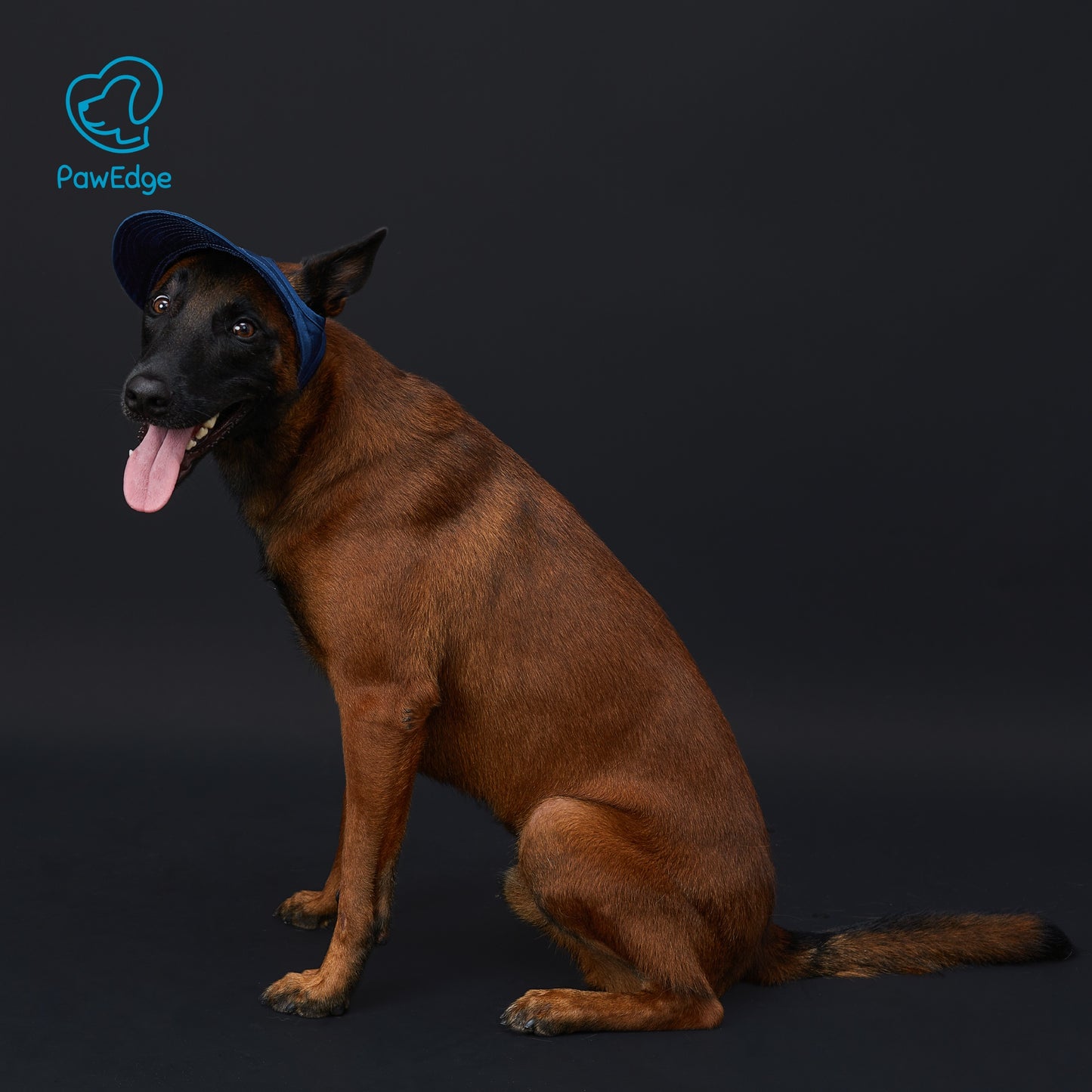 Dog Cap with Embroidered Logo - Adjustable Fit, 4 Color Choices