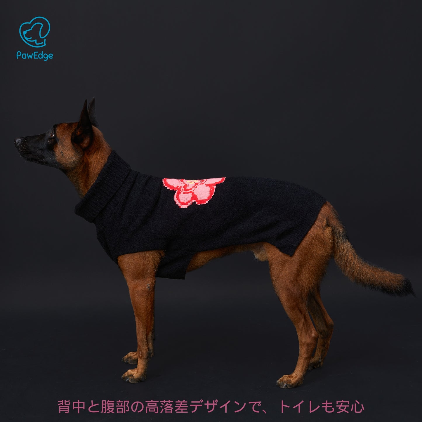 Luxury High-Neck Dog Sweater with Bold Intarsia Flower and Convenient Leash Hole
