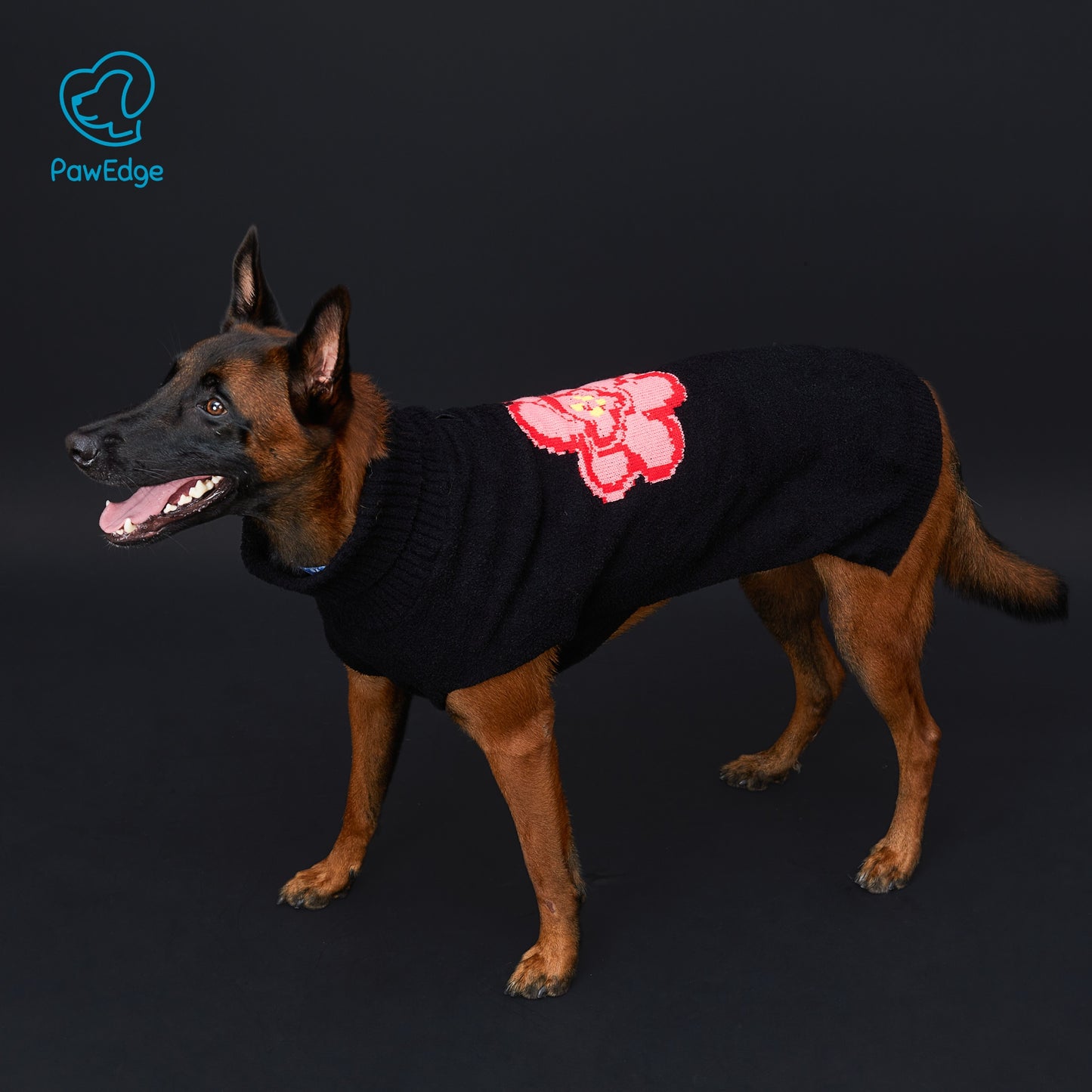Luxury High-Neck Dog Sweater with Bold Intarsia Flower and Convenient Leash Hole