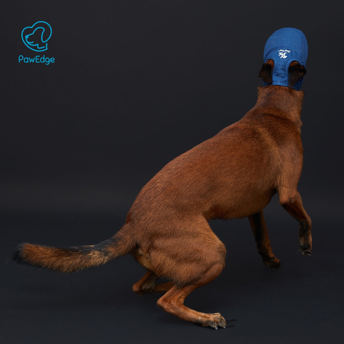 Dog Cap with Embroidered Logo - Adjustable Fit, 4 Color Choices