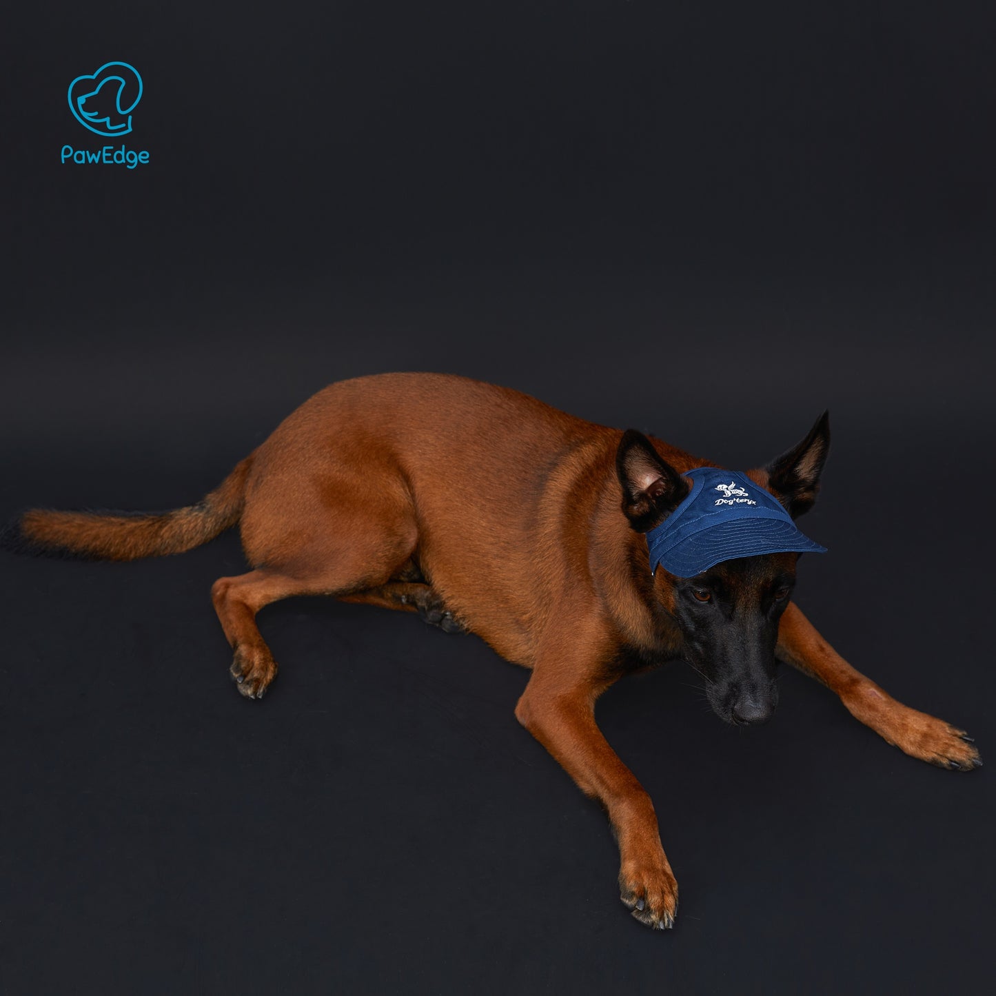 Dog Cap with Embroidered Logo - Adjustable Fit, 4 Color Choices
